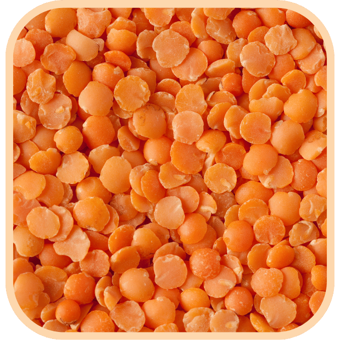 (image for) Lentils - Red